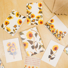 Load image into Gallery viewer, Sunflower Fields Greeting Card Set