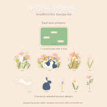 Load image into Gallery viewer, A New Spring Blind Box Set of 3
