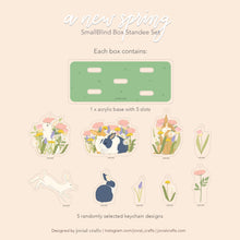 Load image into Gallery viewer, A New Spring Blind Box Set of 5
